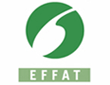 logo EFFAT